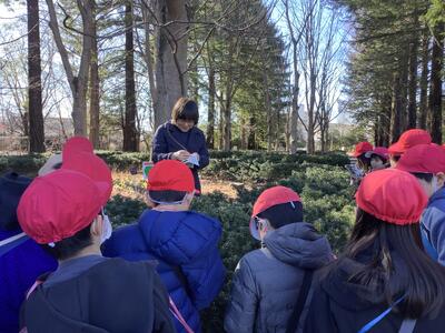 筑波実験植物園②