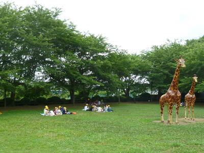 きりん広場で楽しくお弁当