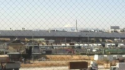 ズームしてみました。