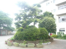 正門を入ってすぐの「ロータリー」