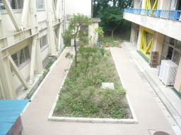 校舎と校舎の間にある「中　庭」