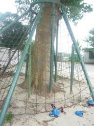 遊具「蜘蛛巣城」