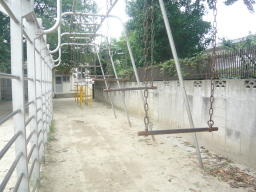 遊具「空中ブランコ」	