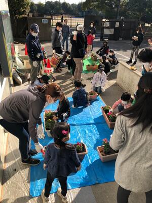 植え替えの様子