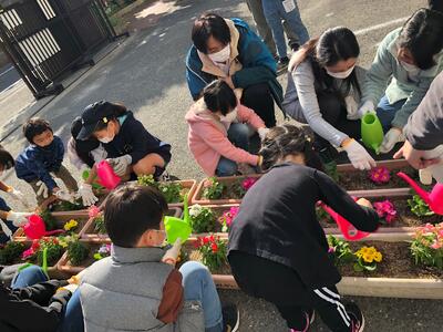 植え替えの様子