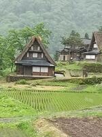 相倉合掌造り集落