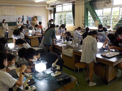 オープンスクール