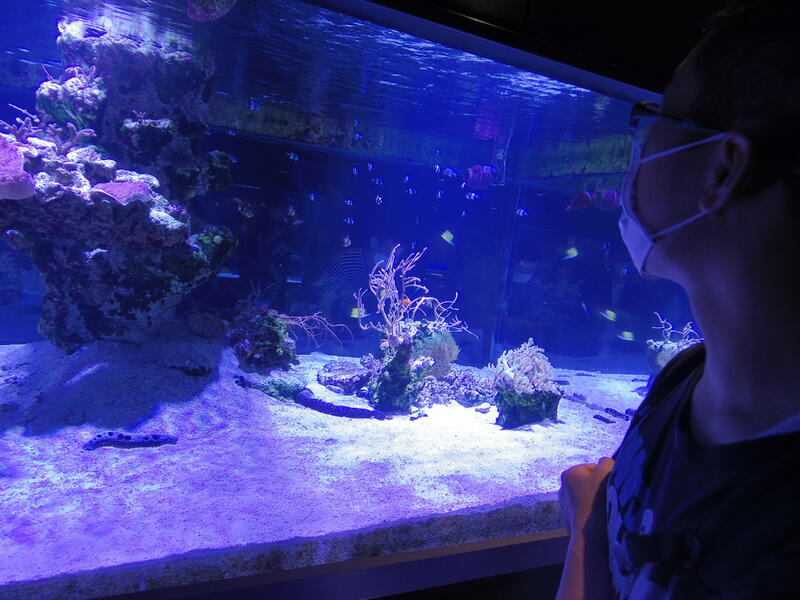 魚がきれいでした。