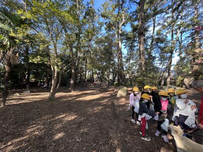 お散歩されていた近所の方が、色々教えてくださいました。